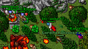 Iri-anbef on screen