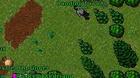 Bandido Tarado on screen