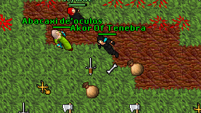 Akor Of Tenebra on screen