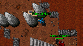 Royal Hax on screen