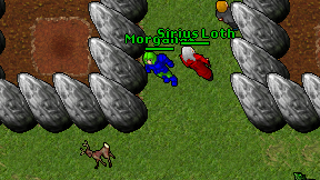 Morganas on screen
