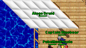 Alego Druid on screen