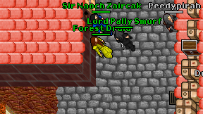 Forest Druid on screen