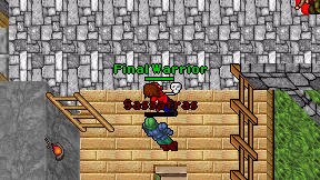 Final Warrior on screen