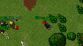 Elven valoria on screen