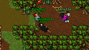 Ljundula on screen