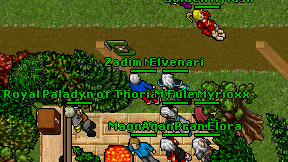 Zadim Noban on screen