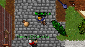 Aidetica on screen