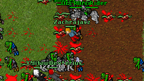 Zachrajasz on screen