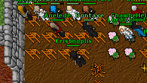 Kristnoplis on screen
