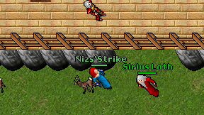 Nizs'Strike on screen