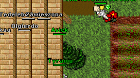 Asiek on screen