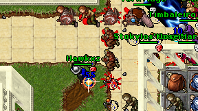 Hawkxz on screen