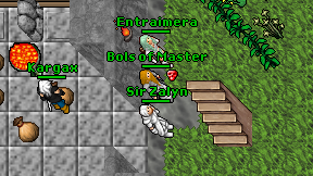 Bols of Master on screen