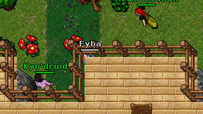 Fyba on screen