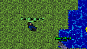 Parkingowy on screen