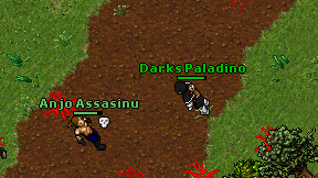 Darks Paladino on screen