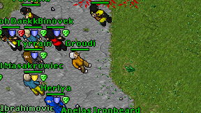 Groudi on screen