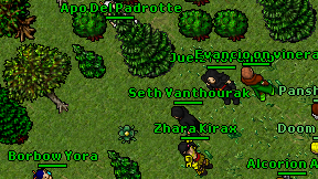 Sunnade on screen