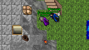 Fynale on screen