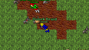 Dunek Druid on screen