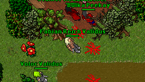 Fabian Reich Validus on screen
