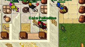 Kate Palladine on screen