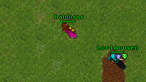 Baldosas on screen