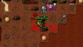 Uvaria on screen