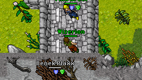 Wizerion on screen