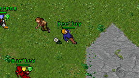 Bee'Jay on screen