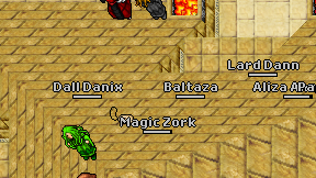 Magic Zork on screen