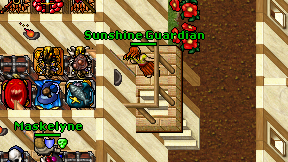 Sunshine Guardian on screen