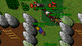Sorcizor on screen