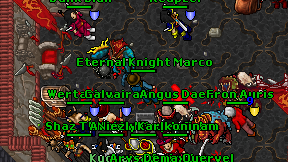 Eternal Knight Marco on screen