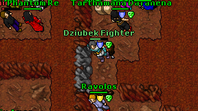 Dziubek Fighter on screen