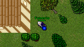 Funerio on screen