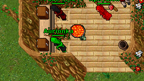 Aurionka on screen