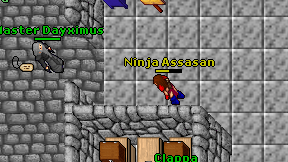 Ninja Assasan on screen