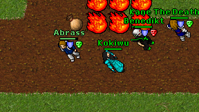 Kokiwu on screen