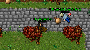 Hyagumo on screen
