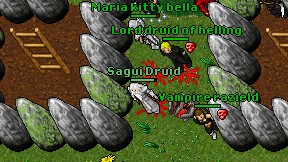 Sagui Druid on screen