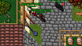 Halix Druid on screen