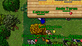 Kaivacor on screen