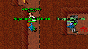 Algador Swiftback on screen