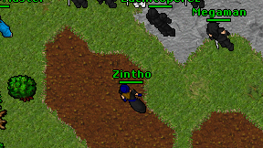 Zintho on screen