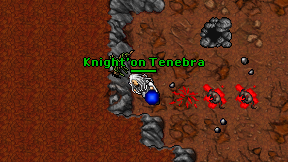 Knight'on Tenebra on screen