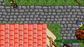 Tohogad on screen