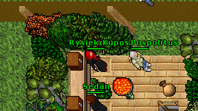 Rysiekostry on screen