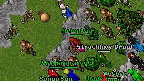 Melunkaa on screen
